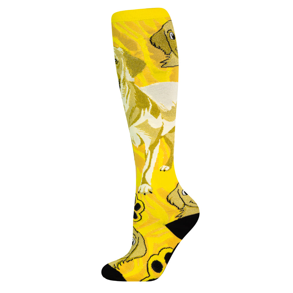 LABRADOR | Crazy Socks