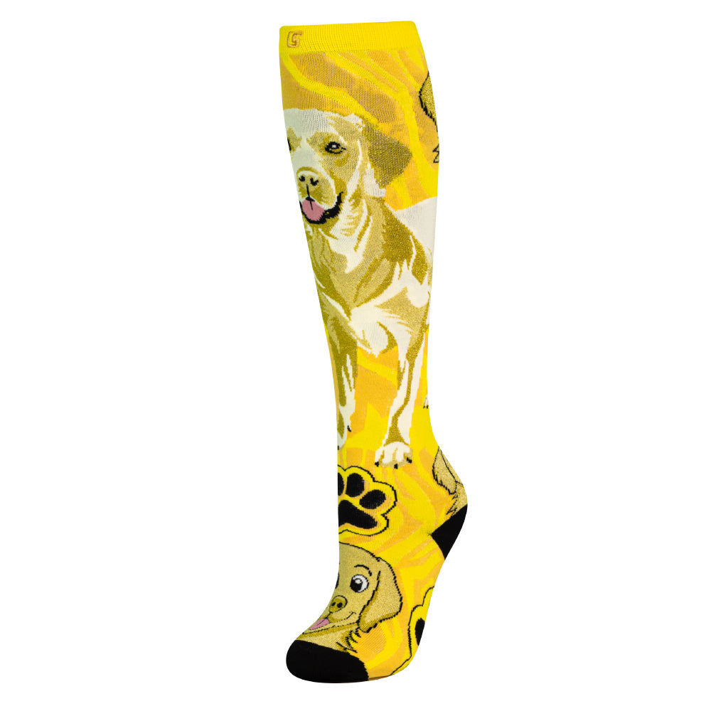 LABRADOR | Crazy Socks