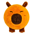 Cute Capybara