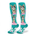 Cats Meow
