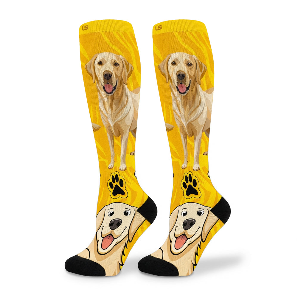 LABRADOR | Crazy Socks