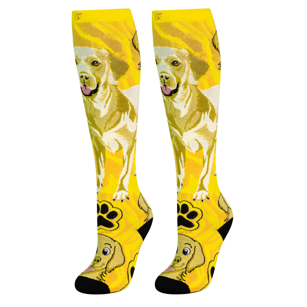 LABRADOR | Crazy Socks
