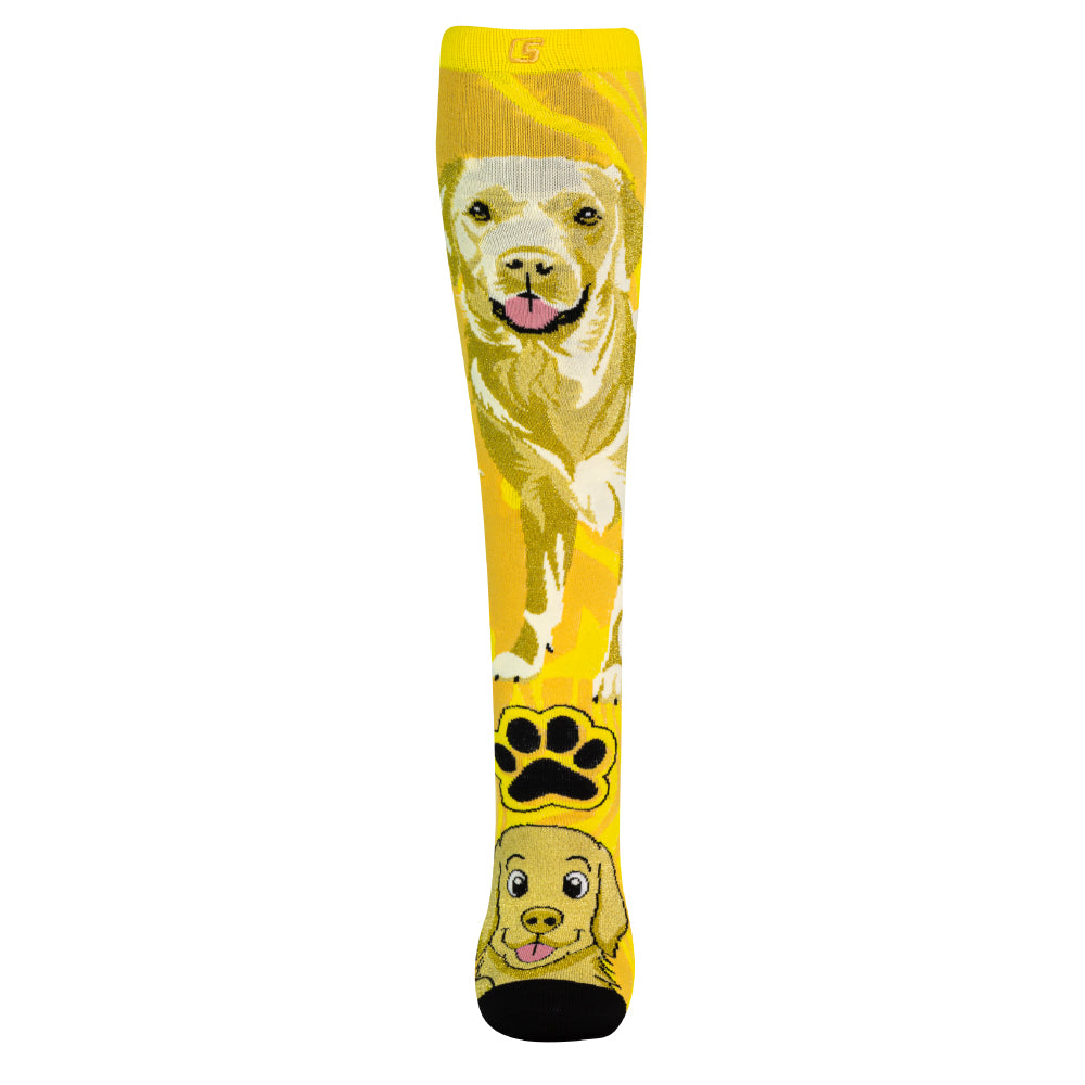 LABRADOR | Crazy Socks