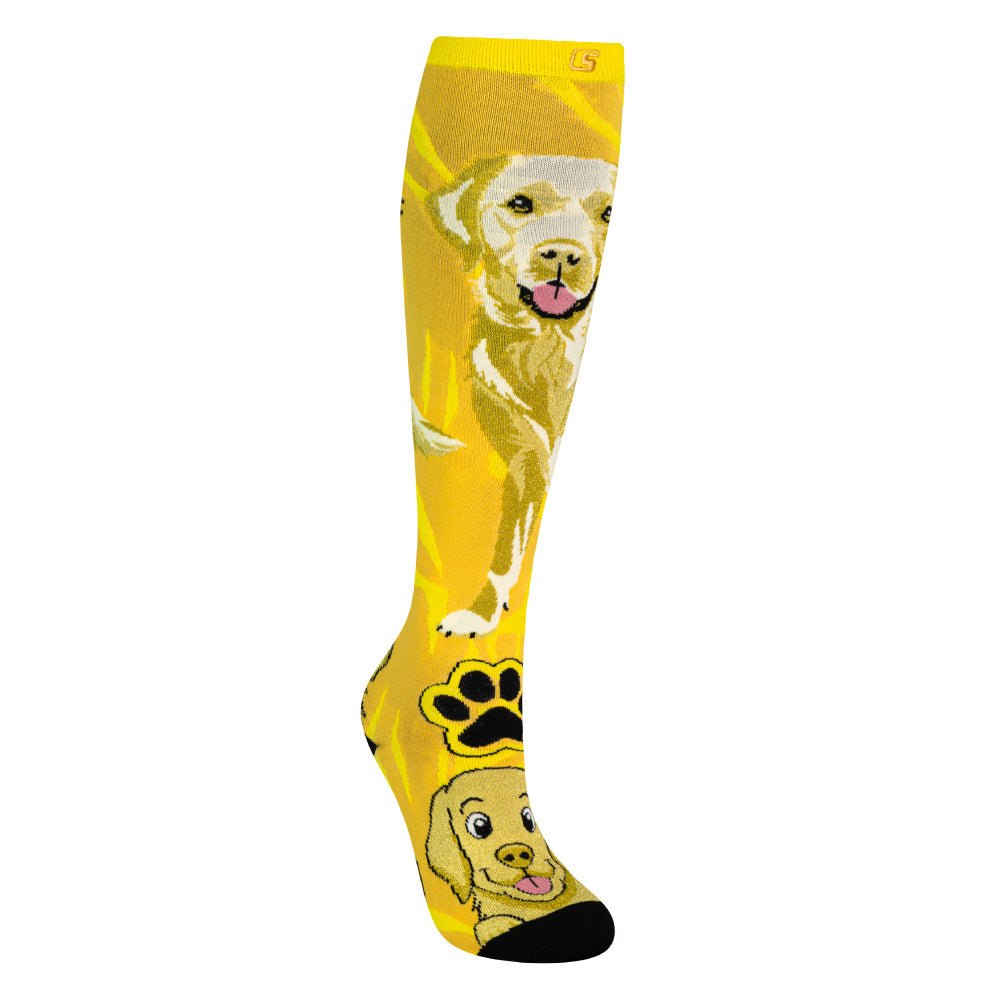 LABRADOR | Crazy Socks