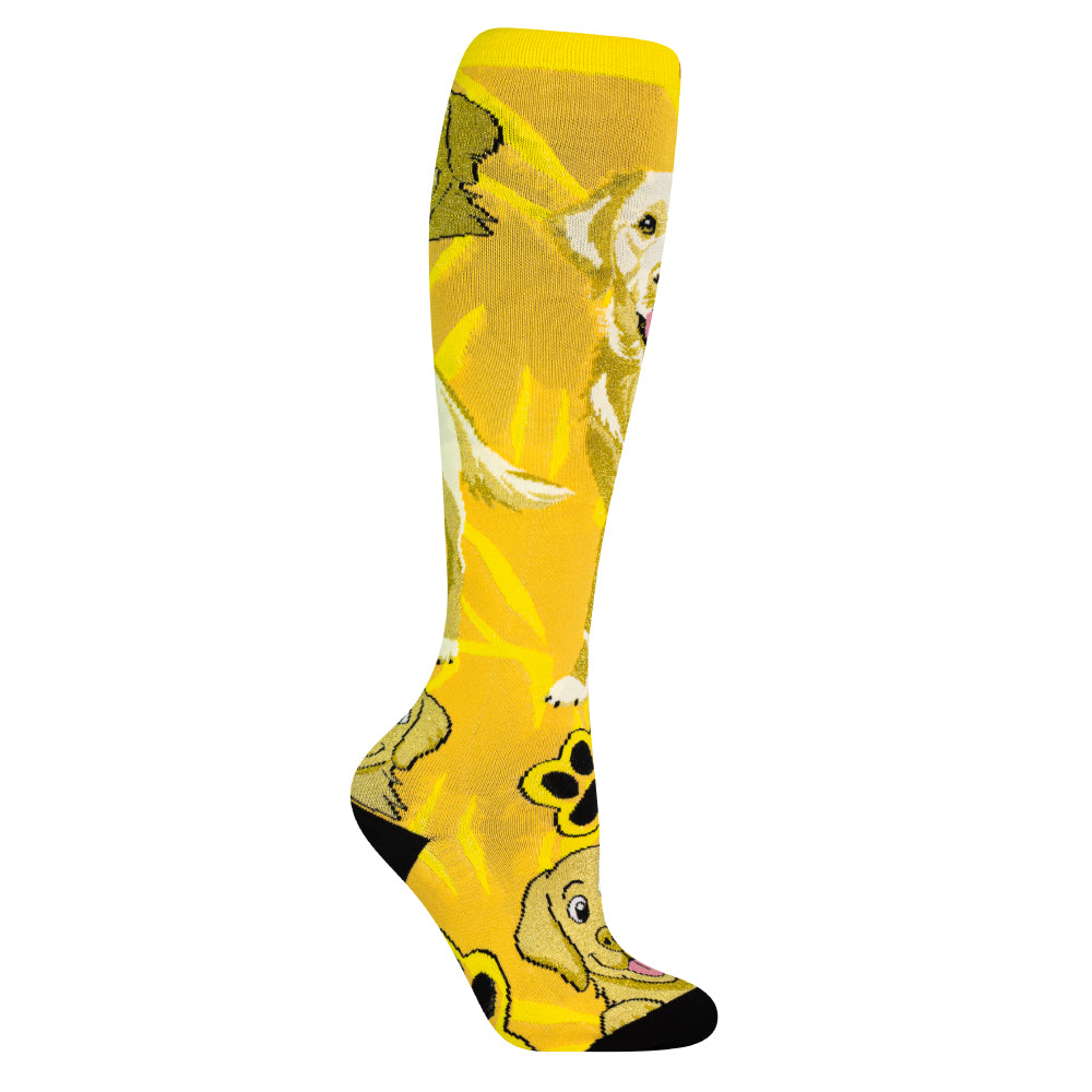 LABRADOR | Crazy Socks
